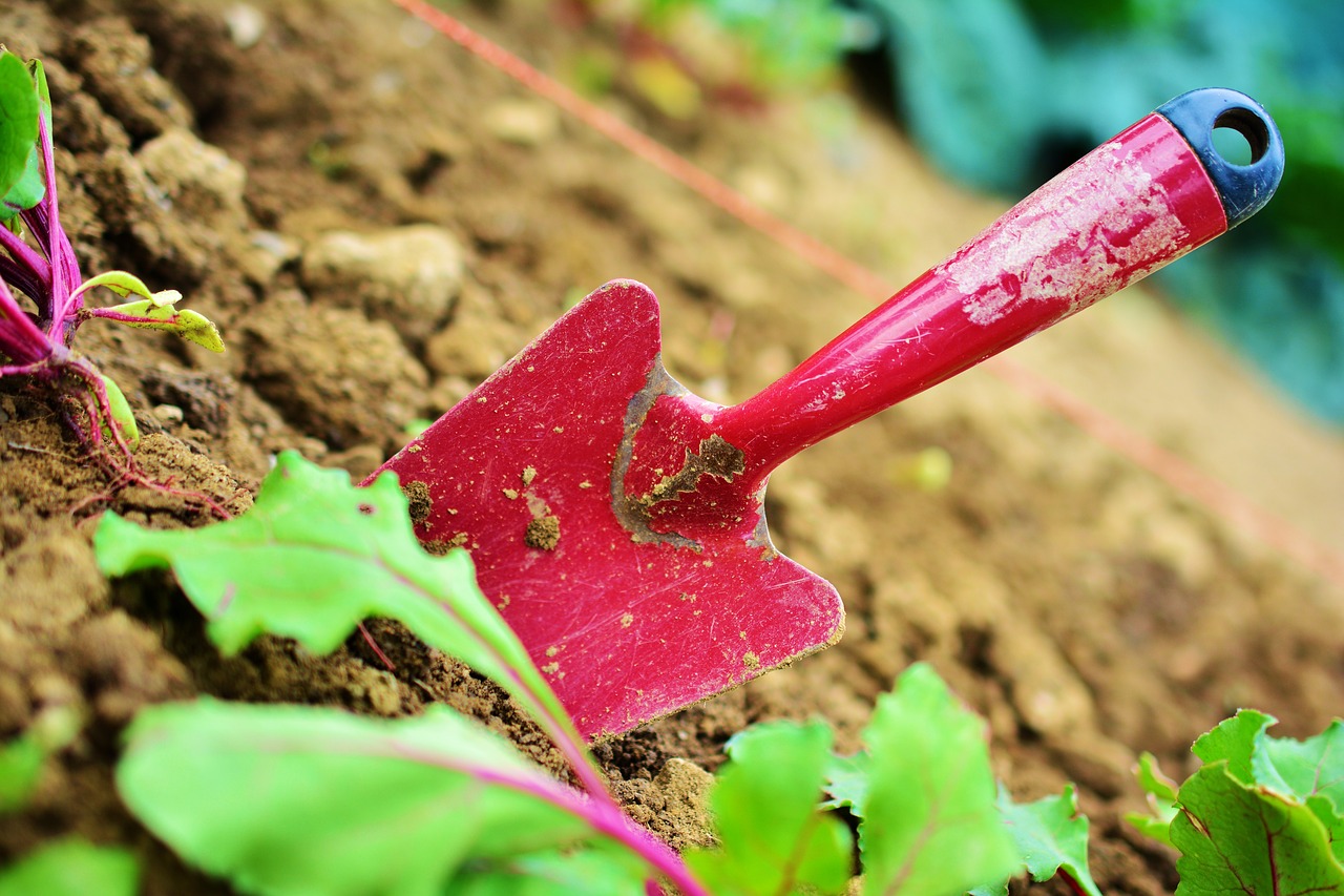 Gardening: From Hobby to Employment