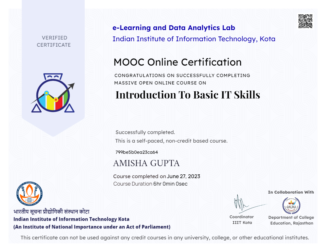 Introduction to Basic IT Skills